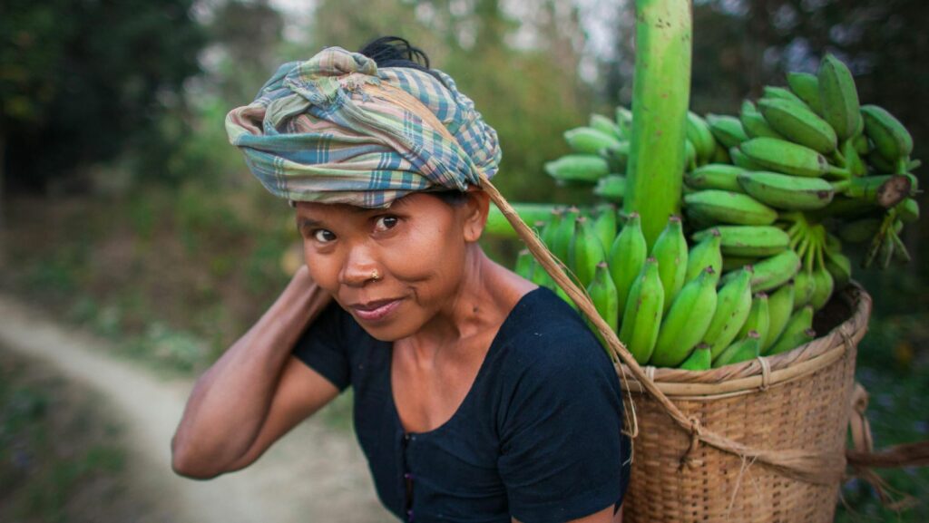Female entrepreneur carrying bananas on her back.