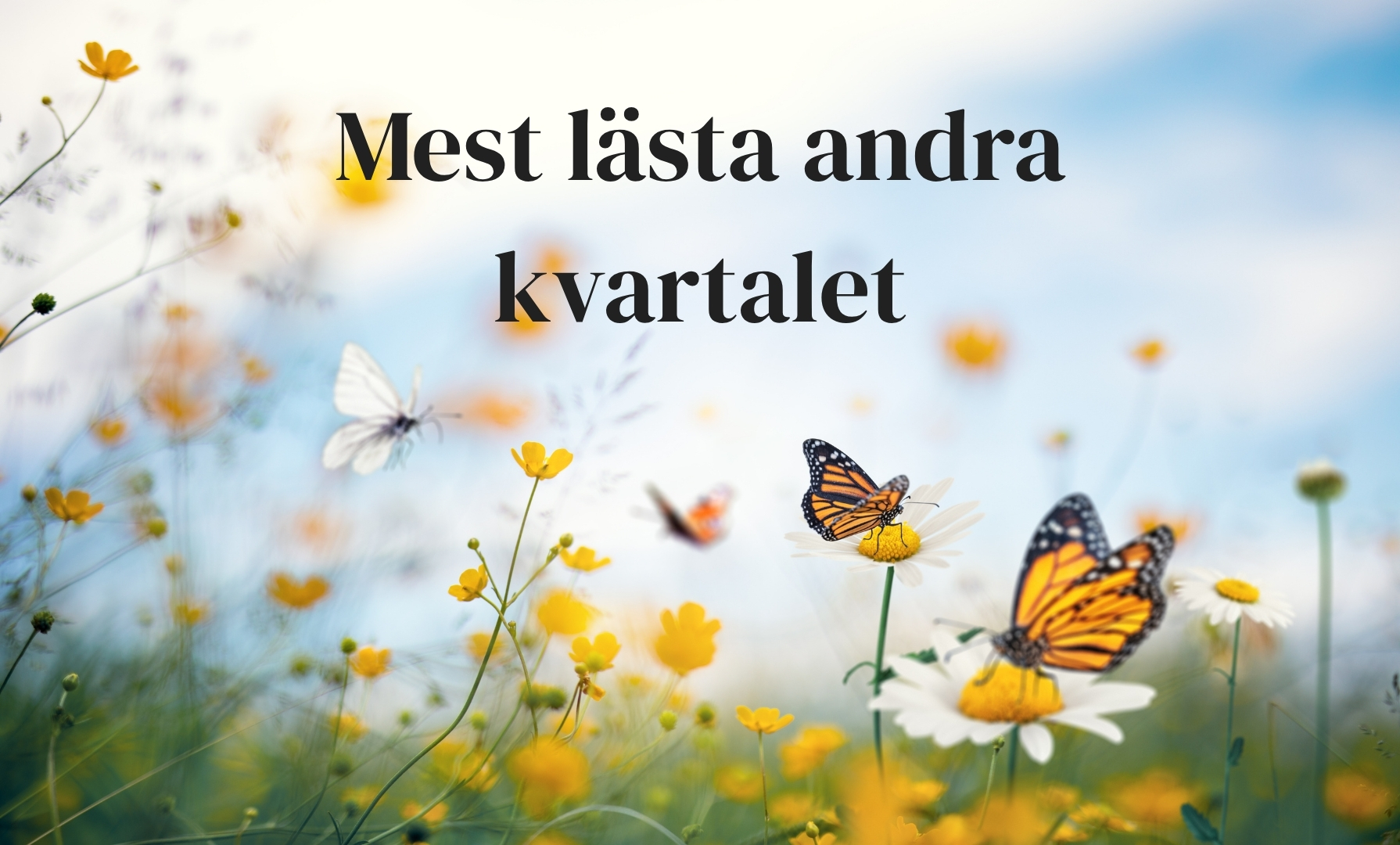 Sommarängsblommor med fjärilar